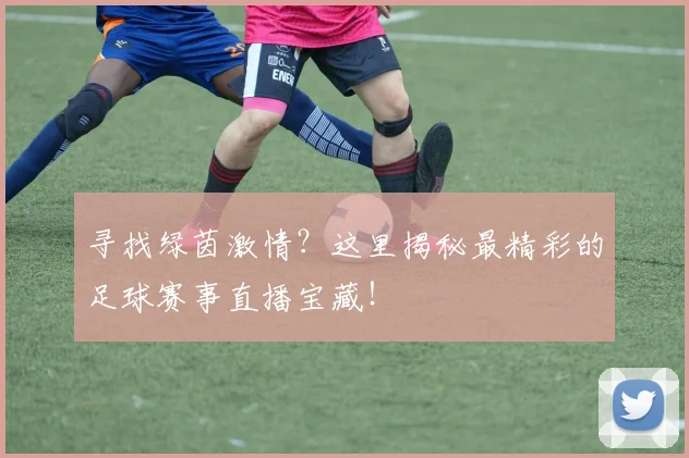 寻找绿茵激情？这里揭秘最精彩的足球赛事直播宝藏！